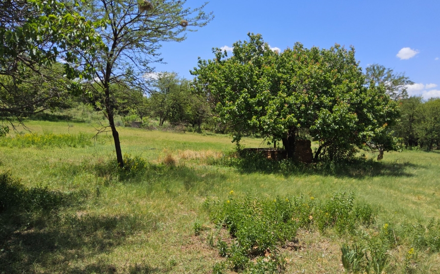 4 Bedroom Property for Sale in Hartbeesfontein North West